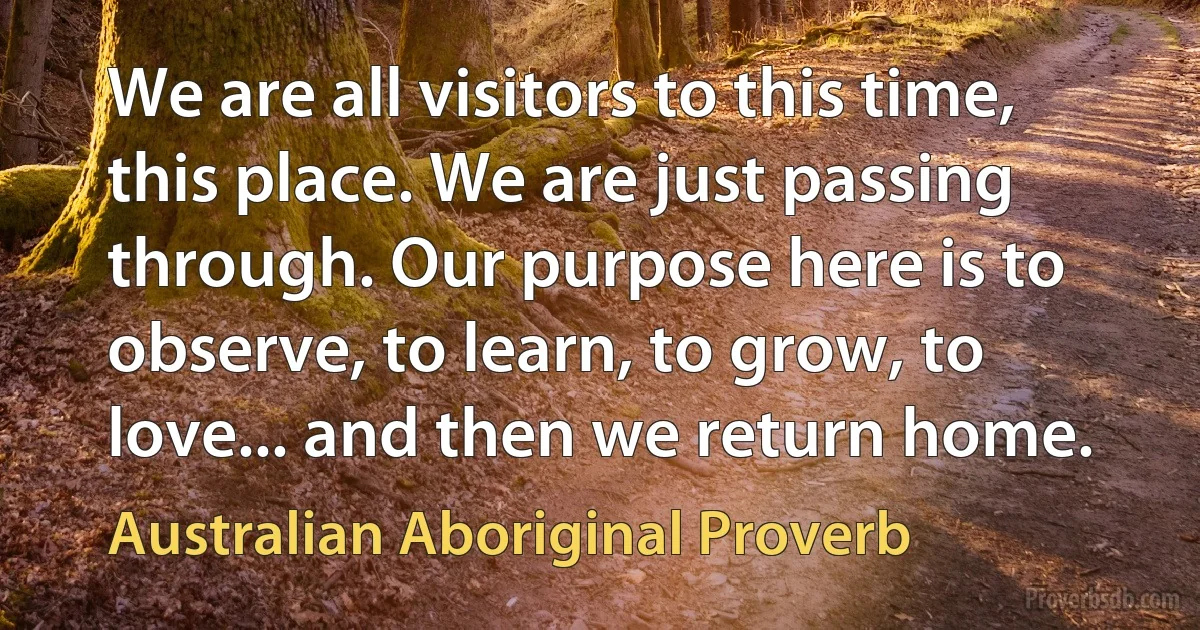 We are all visitors to this time, this place. We are just passing through. Our purpose here is to observe, to learn, to grow, to love... and then we return home. (Australian Aboriginal Proverb)