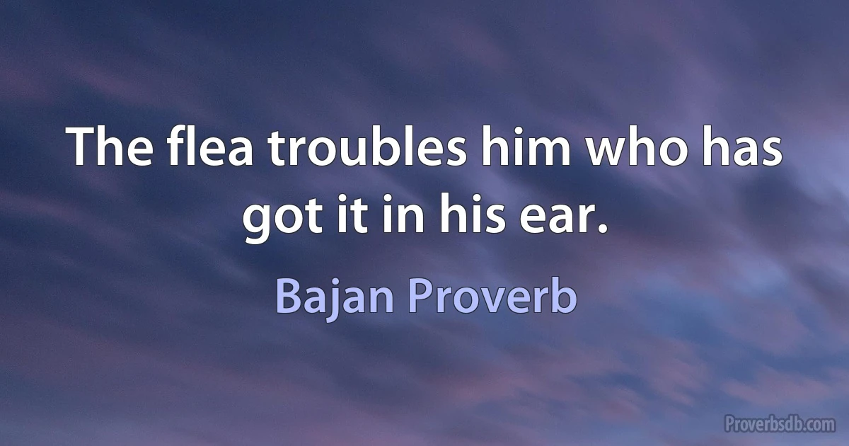 The flea troubles him who has got it in his ear. (Bajan Proverb)