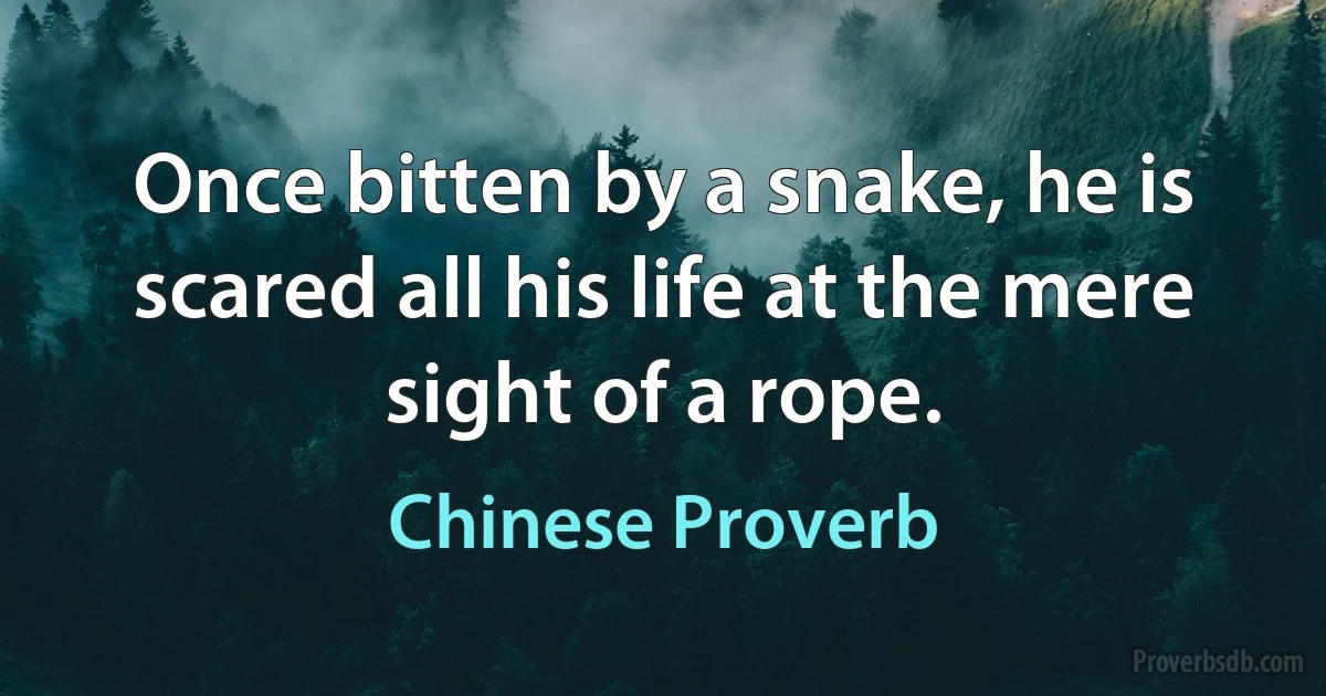 Once bitten by a snake, he is scared all his life at the mere sight of a rope. (Chinese Proverb)