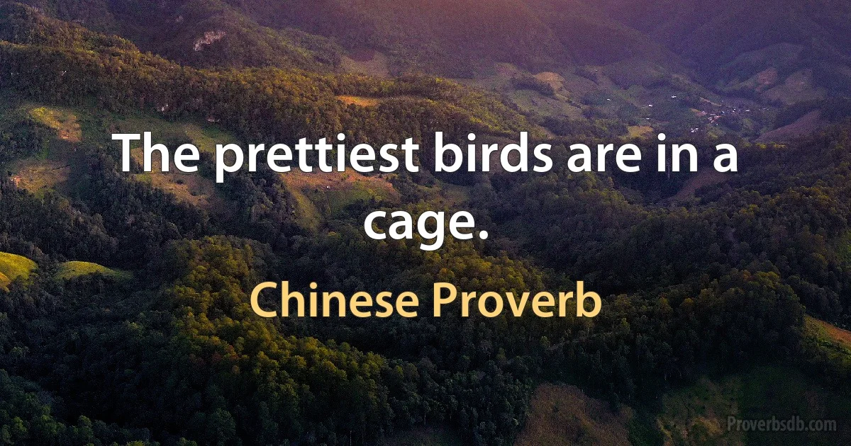 The prettiest birds are in a cage. (Chinese Proverb)