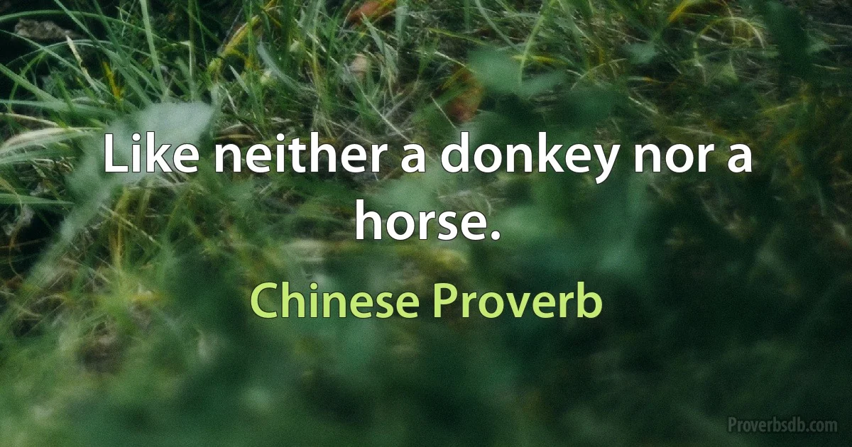 Like neither a donkey nor a horse. (Chinese Proverb)