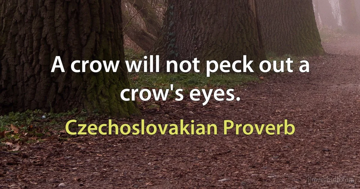 A crow will not peck out a crow's eyes. (Czechoslovakian Proverb)