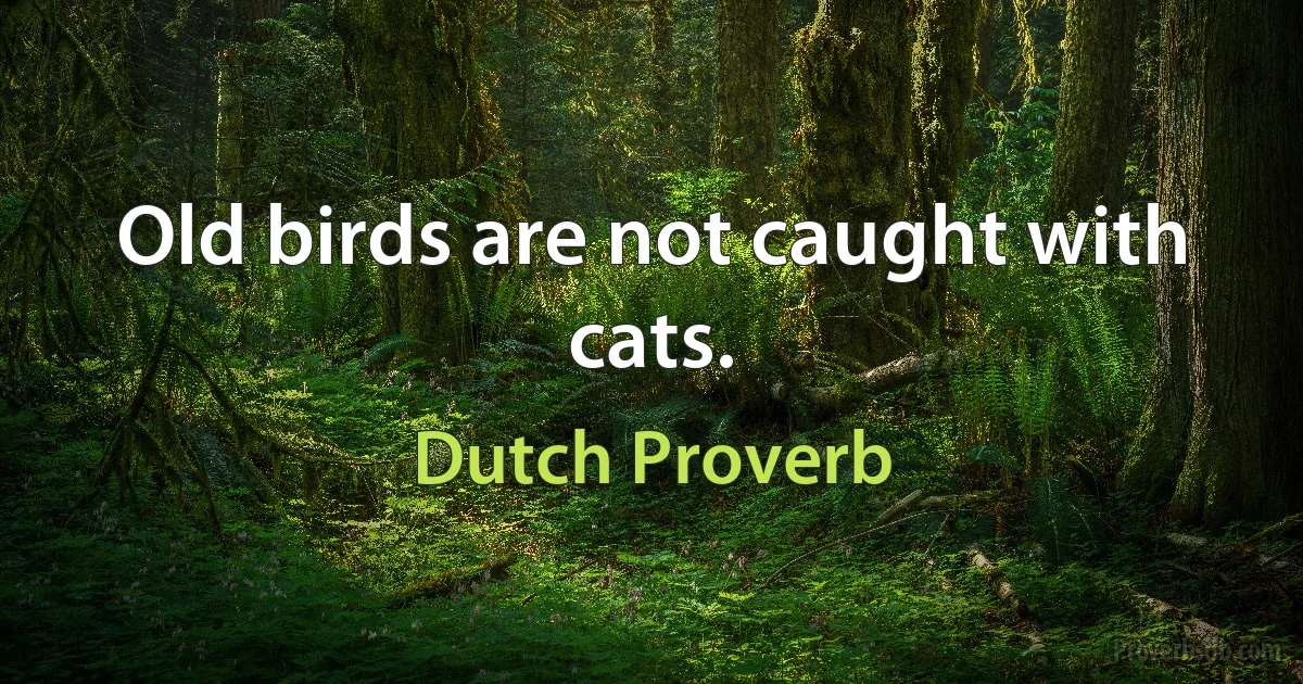 Old birds are not caught with cats. (Dutch Proverb)