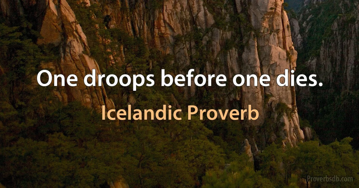 One droops before one dies. (Icelandic Proverb)