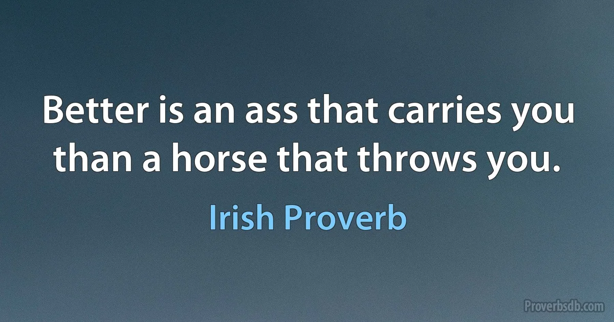 Better is an ass that carries you than a horse that throws you. (Irish Proverb)