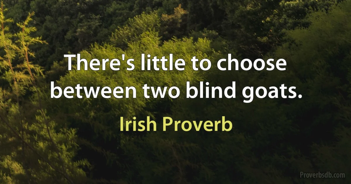 There's little to choose between two blind goats. (Irish Proverb)