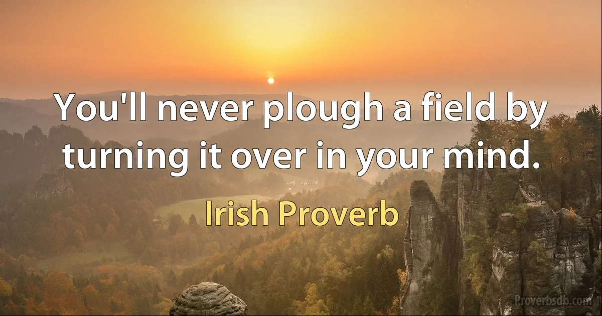 You'll never plough a field by turning it over in your mind. (Irish Proverb)