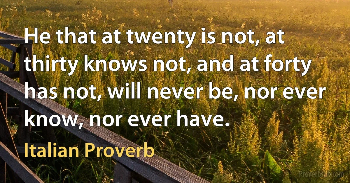 He that at twenty is not, at thirty knows not, and at forty has not, will never be, nor ever know, nor ever have. (Italian Proverb)