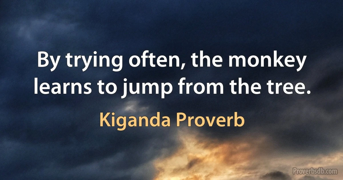 By trying often, the monkey learns to jump from the tree. (Kiganda Proverb)