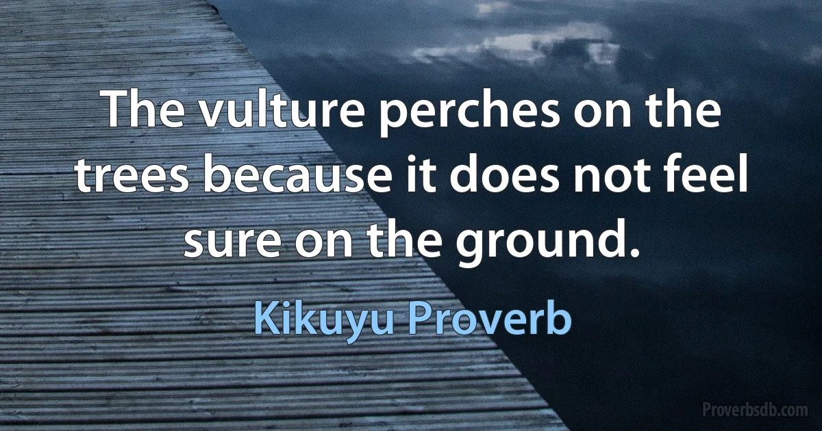 The vulture perches on the trees because it does not feel sure on the ground. (Kikuyu Proverb)