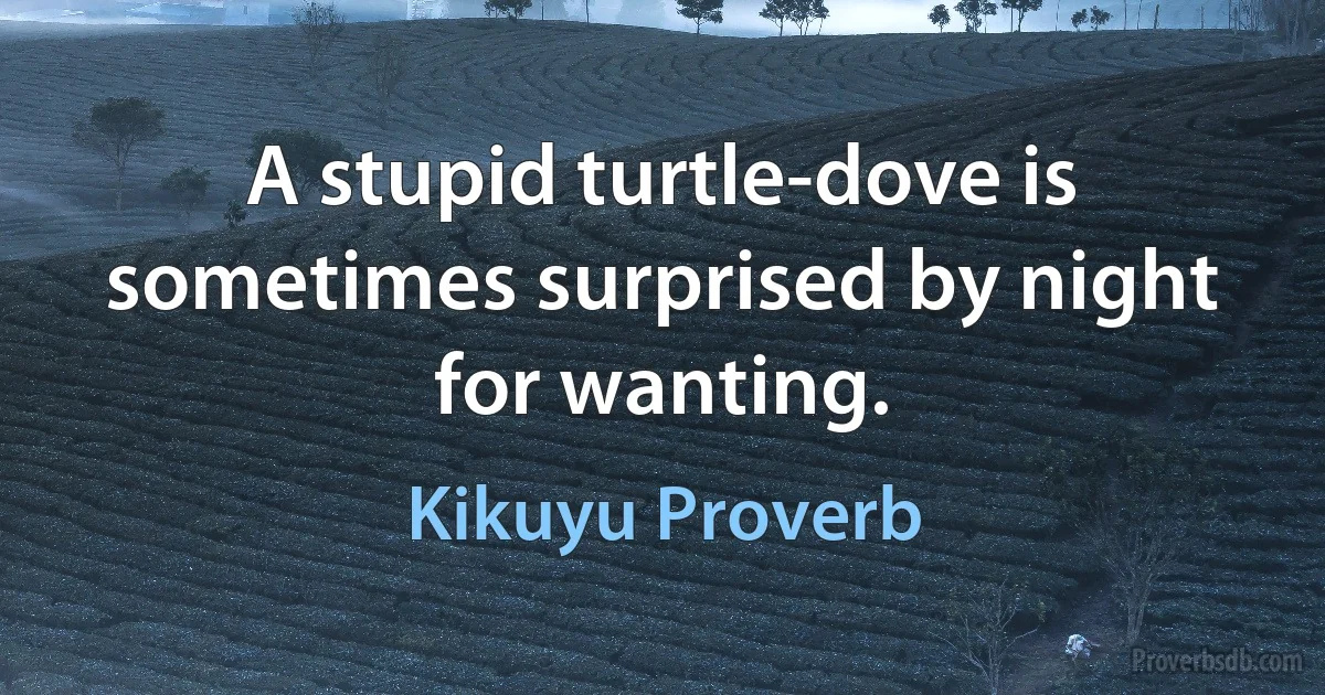 A stupid turtle-dove is sometimes surprised by night for wanting. (Kikuyu Proverb)