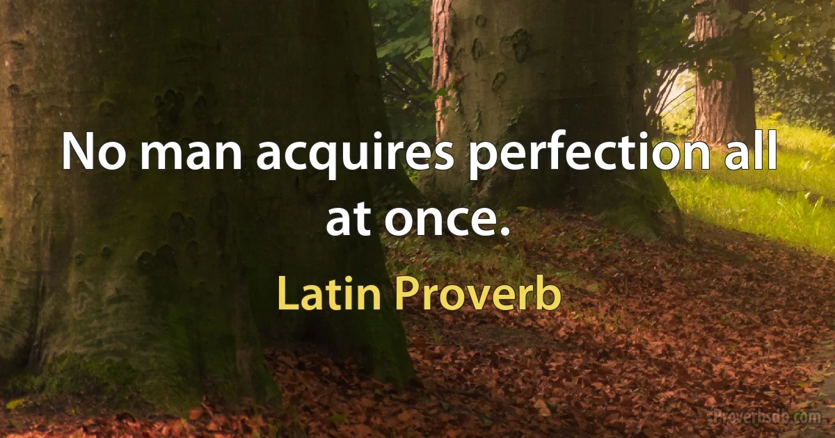 No man acquires perfection all at once. (Latin Proverb)