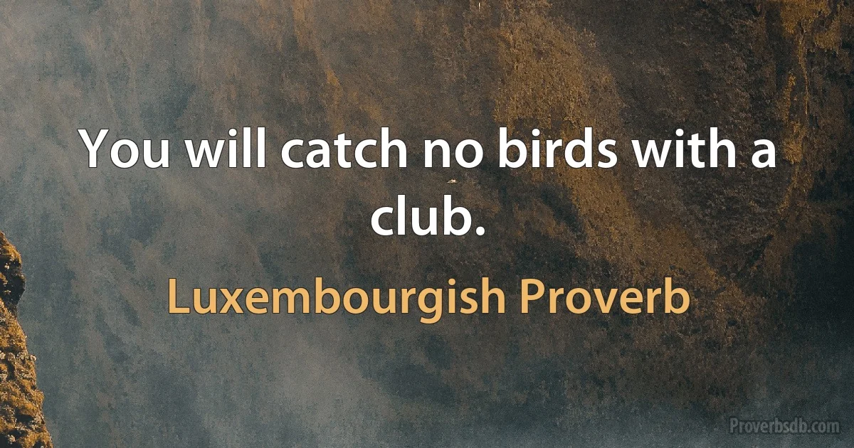 You will catch no birds with a club. (Luxembourgish Proverb)