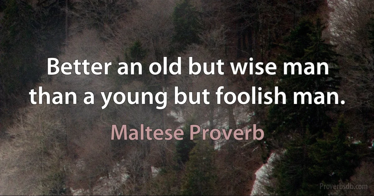 Better an old but wise man than a young but foolish man. (Maltese Proverb)