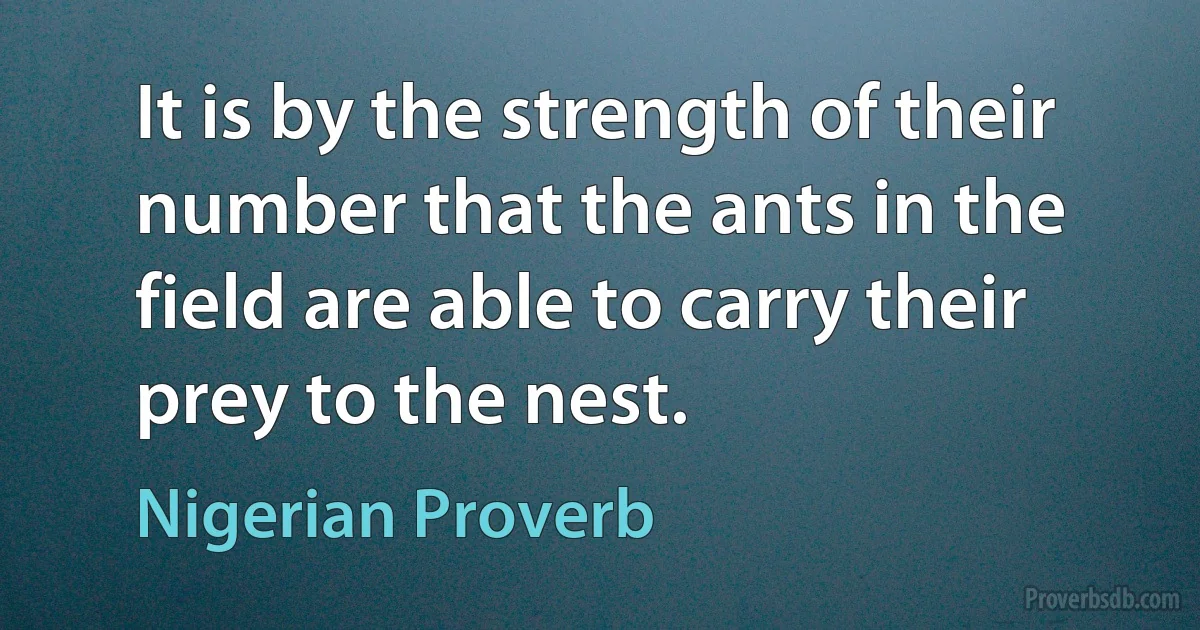 It is by the strength of their number that the ants in the field are able to carry their prey to the nest. (Nigerian Proverb)