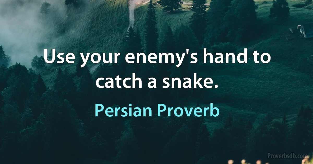 Use your enemy's hand to catch a snake. (Persian Proverb)