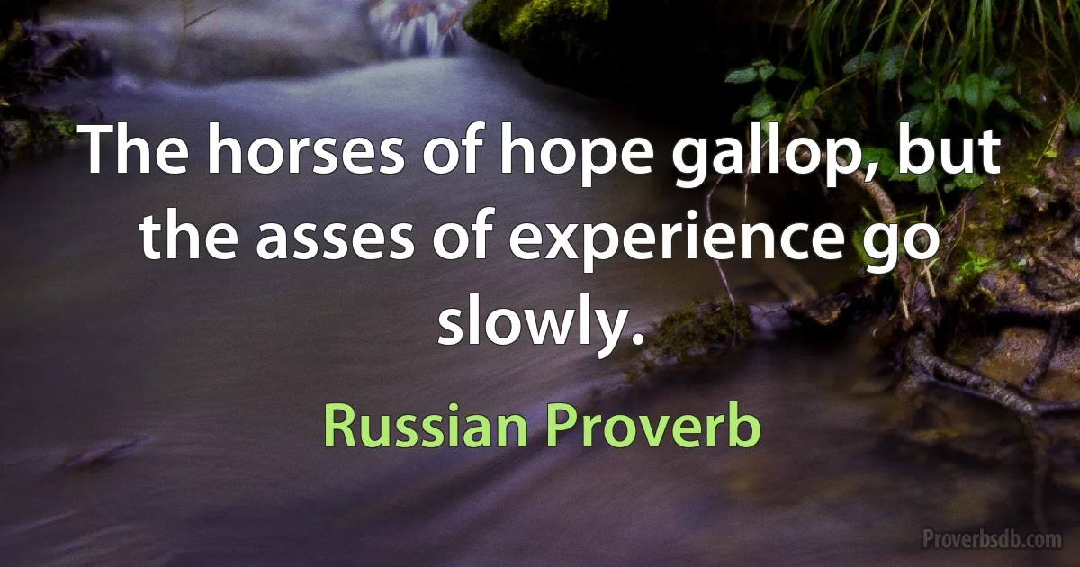 The horses of hope gallop, but the asses of experience go slowly. (Russian Proverb)