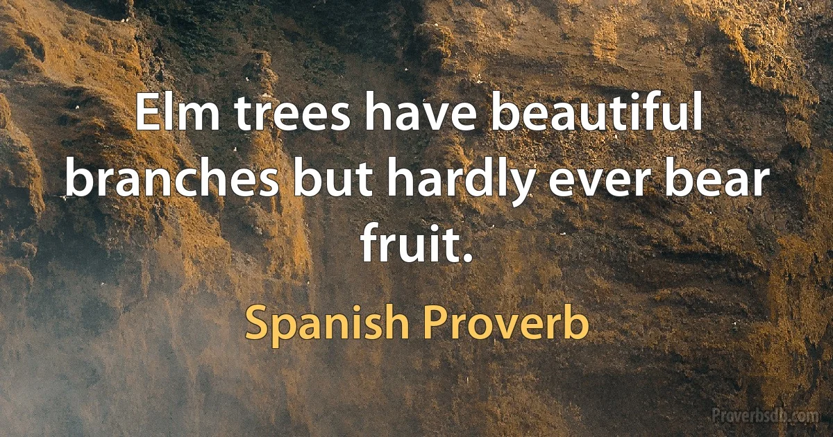 Elm trees have beautiful branches but hardly ever bear fruit. (Spanish Proverb)