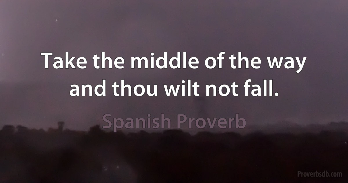 Take the middle of the way and thou wilt not fall. (Spanish Proverb)