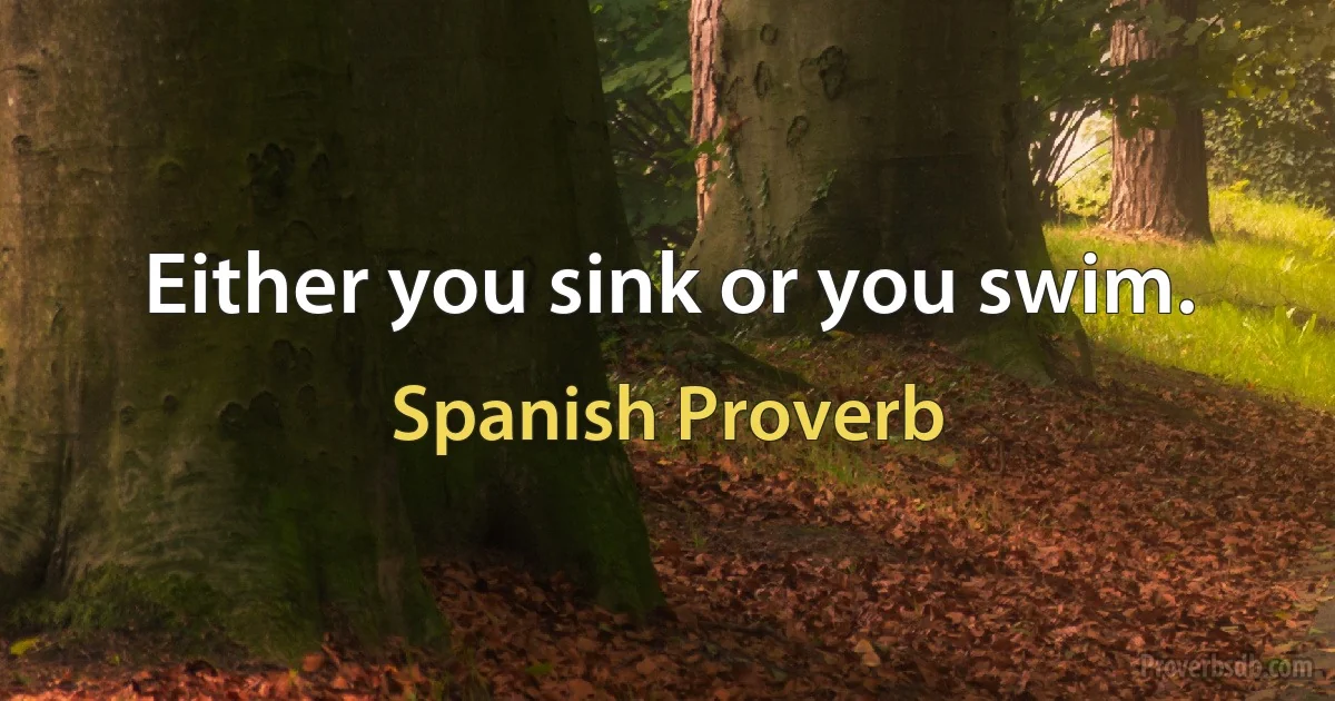 Either you sink or you swim. (Spanish Proverb)