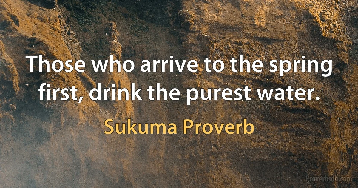 Those who arrive to the spring first, drink the purest water. (Sukuma Proverb)