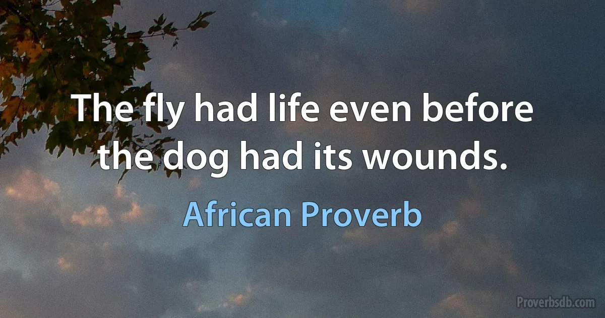 The fly had life even before the dog had its wounds. (African Proverb)