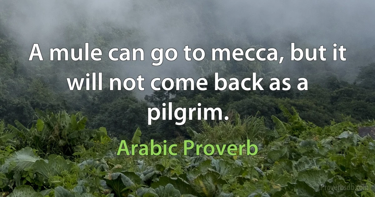 A mule can go to mecca, but it will not come back as a pilgrim. (Arabic Proverb)