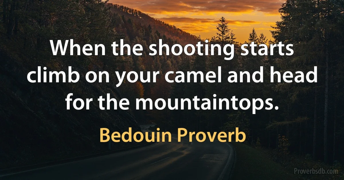 When the shooting starts climb on your camel and head for the mountaintops. (Bedouin Proverb)