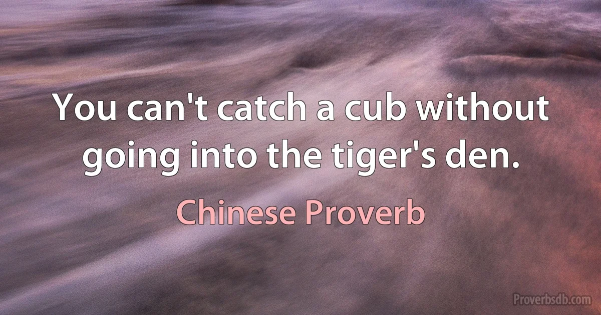 You can't catch a cub without going into the tiger's den. (Chinese Proverb)