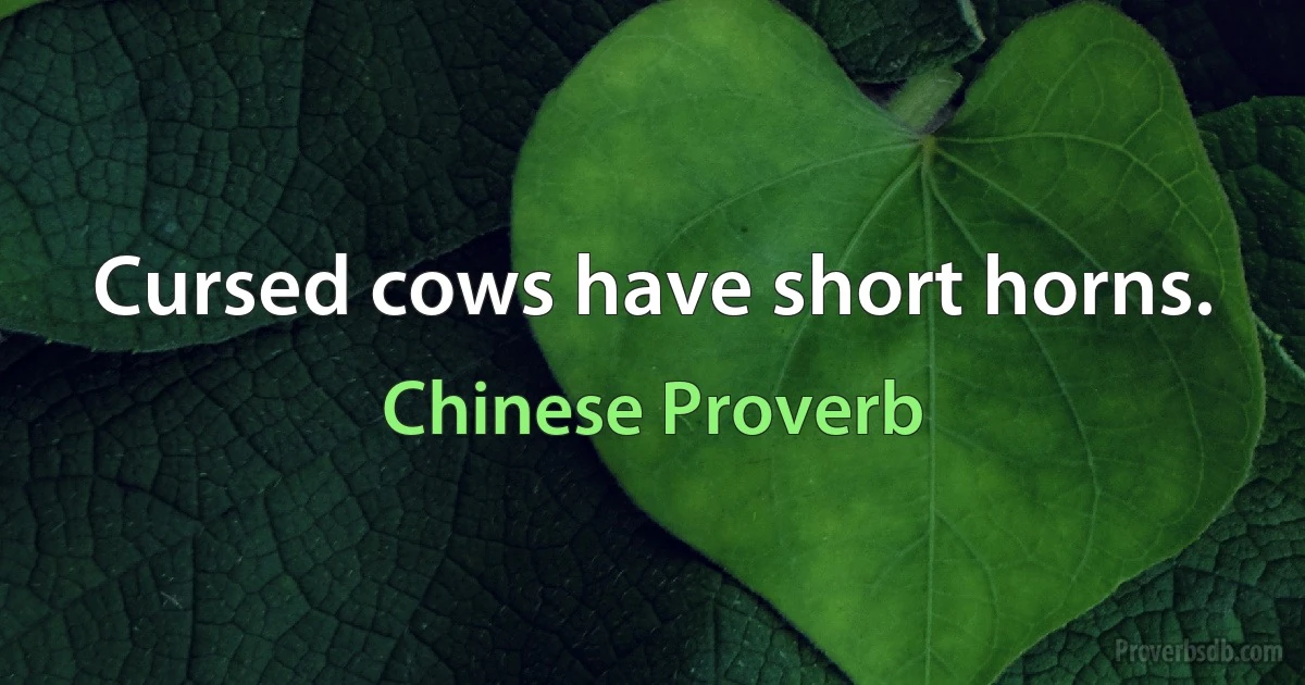 Cursed cows have short horns. (Chinese Proverb)