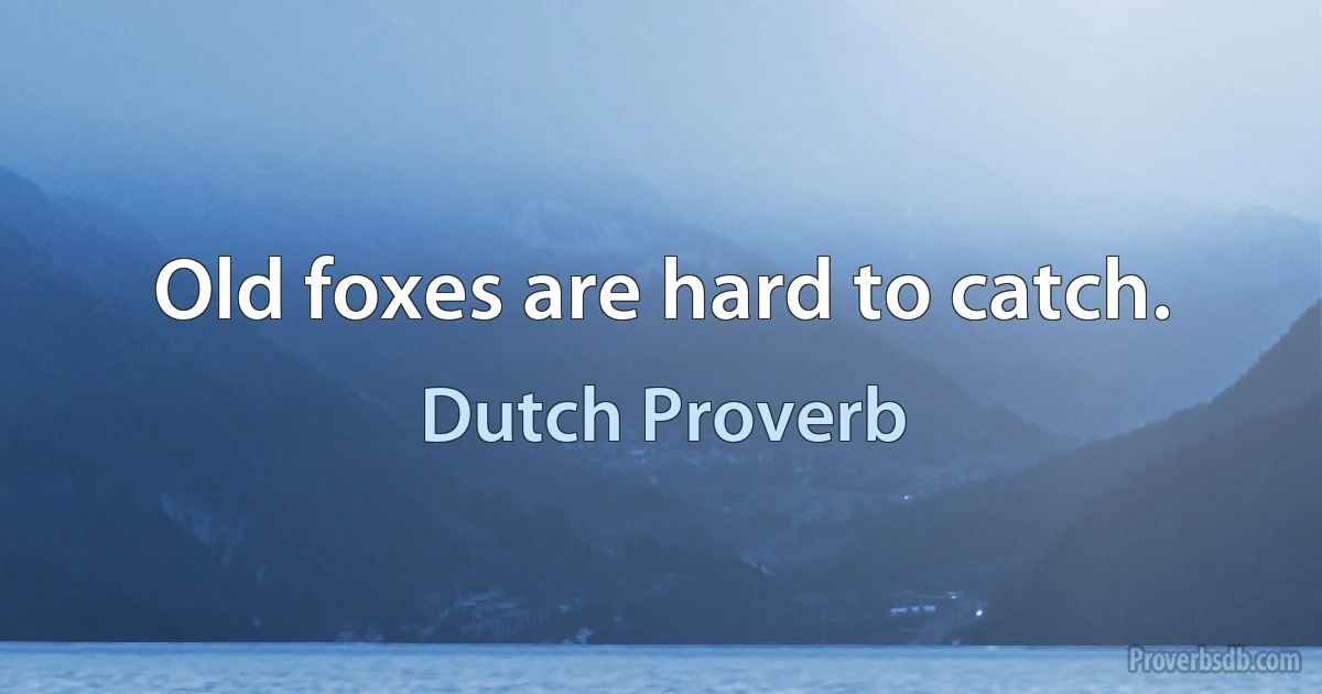 Old foxes are hard to catch. (Dutch Proverb)