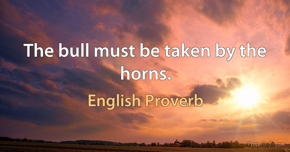 The bull must be taken by the horns. (English Proverb)