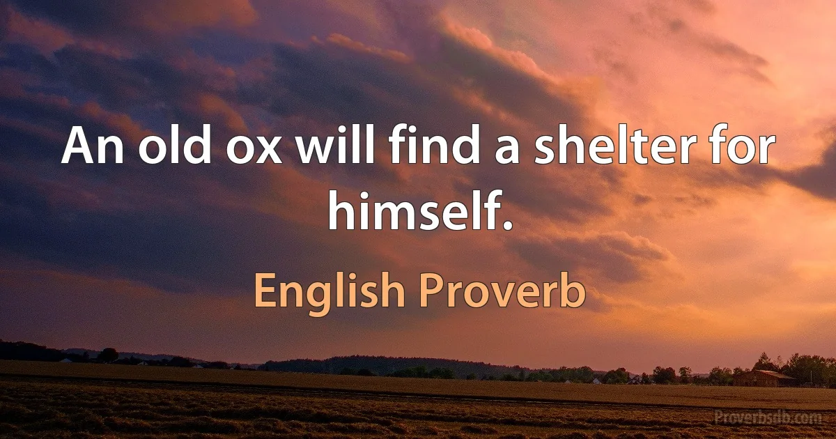 An old ox will find a shelter for himself. (English Proverb)