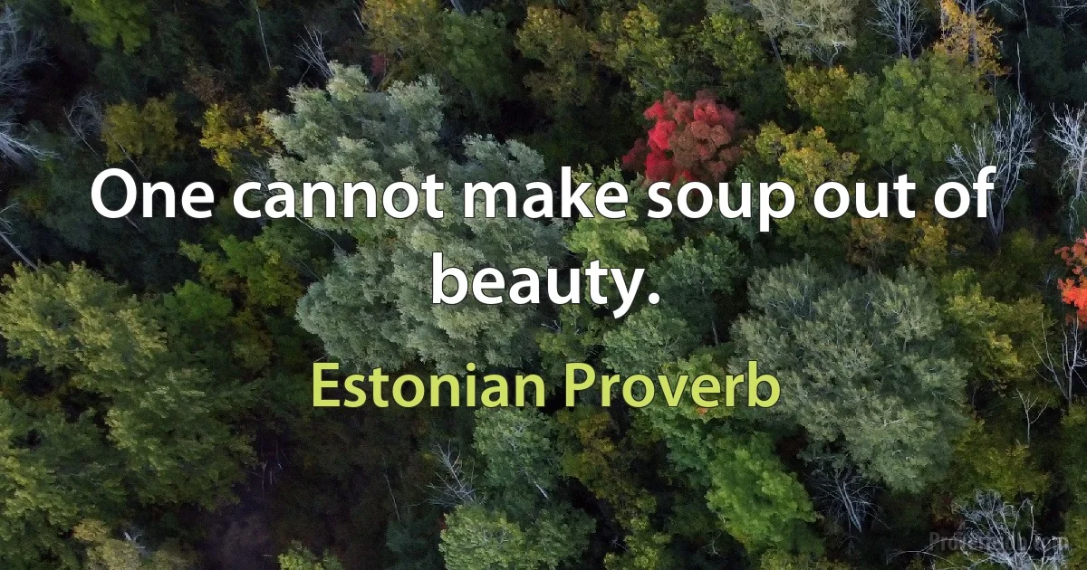 One cannot make soup out of beauty. (Estonian Proverb)