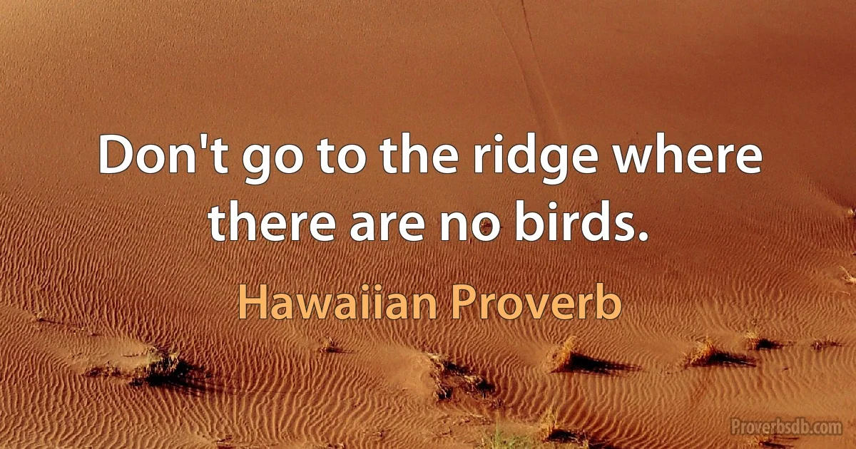 Don't go to the ridge where there are no birds. (Hawaiian Proverb)