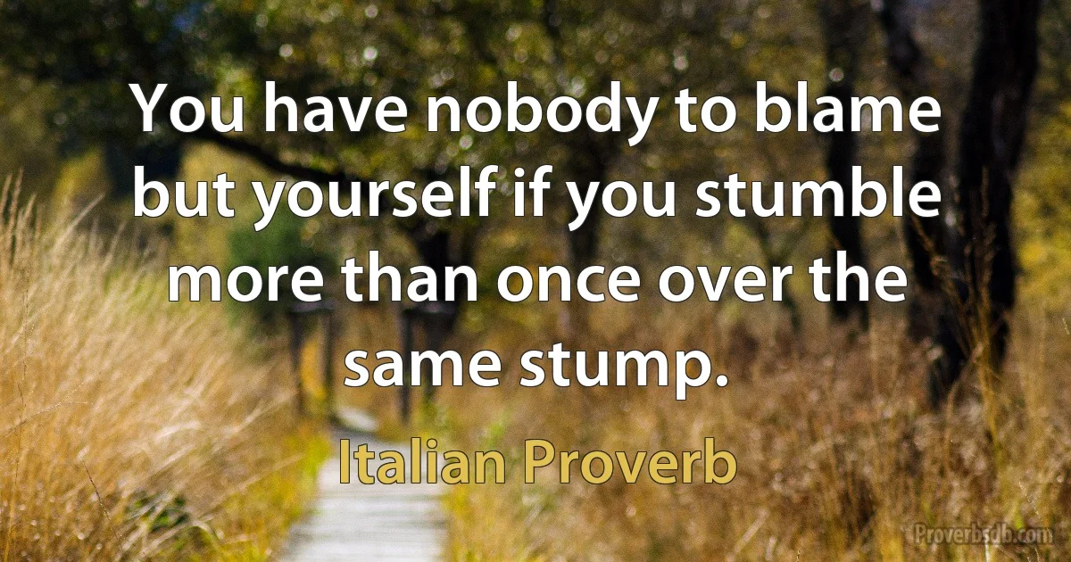 You have nobody to blame but yourself if you stumble more than once over the same stump. (Italian Proverb)