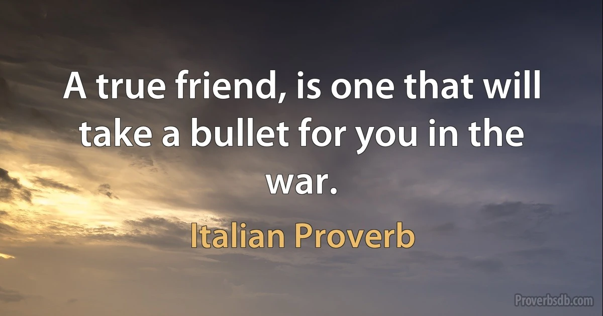 A true friend, is one that will take a bullet for you in the war. (Italian Proverb)