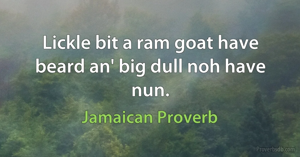 Lickle bit a ram goat have beard an' big dull noh have nun. (Jamaican Proverb)