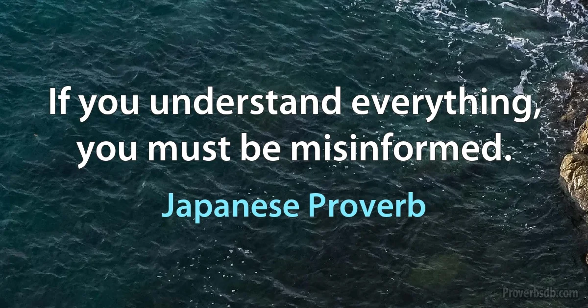 If you understand everything, you must be misinformed. (Japanese Proverb)