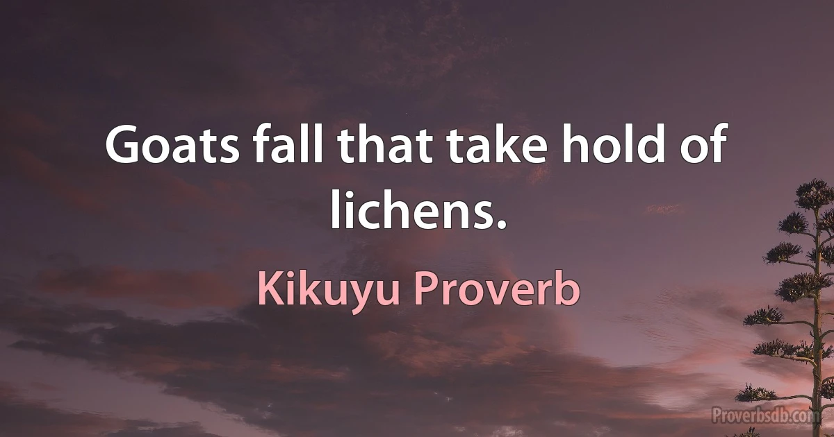 Goats fall that take hold of lichens. (Kikuyu Proverb)