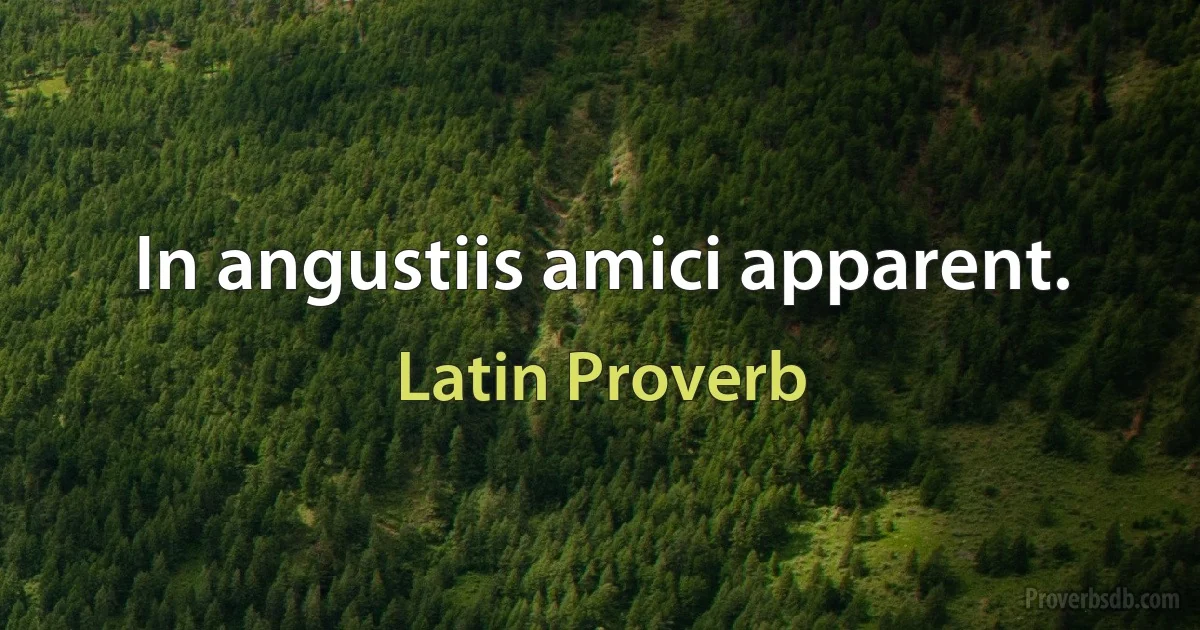 In angustiis amici apparent. (Latin Proverb)