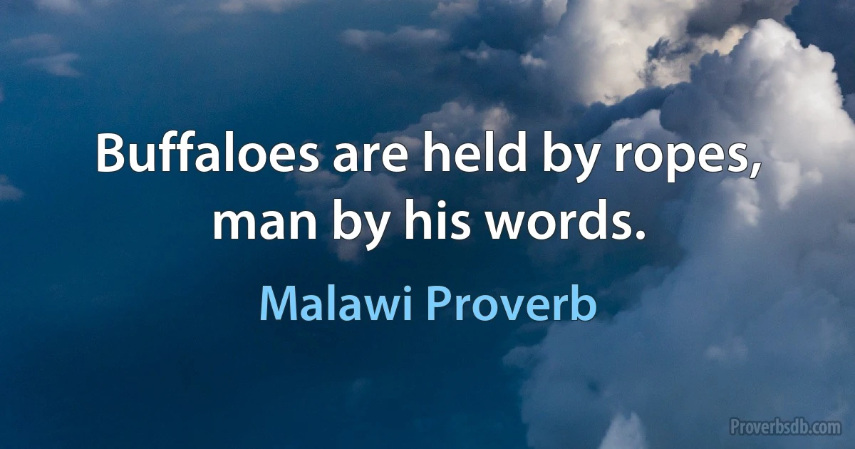 Buffaloes are held by ropes, man by his words. (Malawi Proverb)