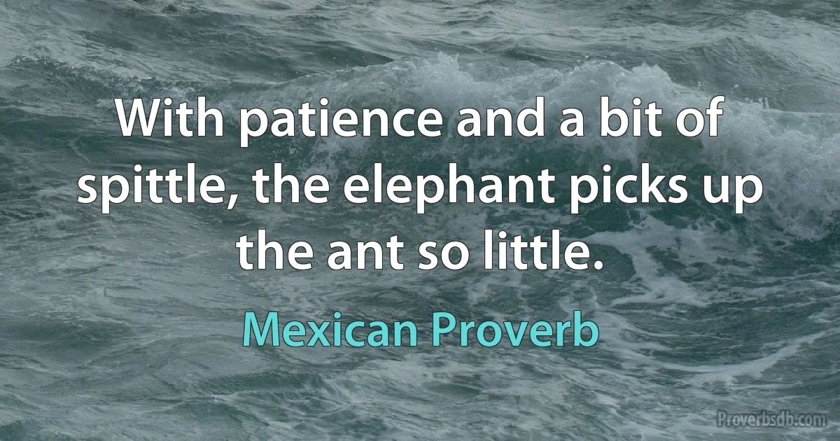 With patience and a bit of spittle, the elephant picks up the ant so little. (Mexican Proverb)