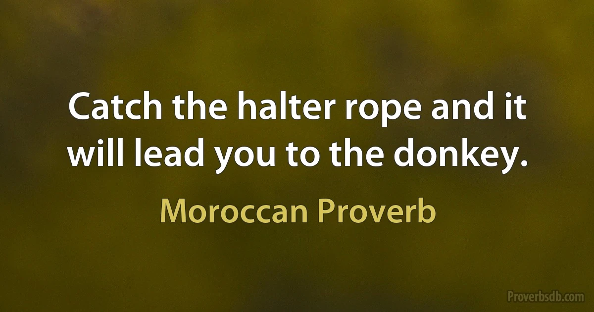 Catch the halter rope and it will lead you to the donkey. (Moroccan Proverb)