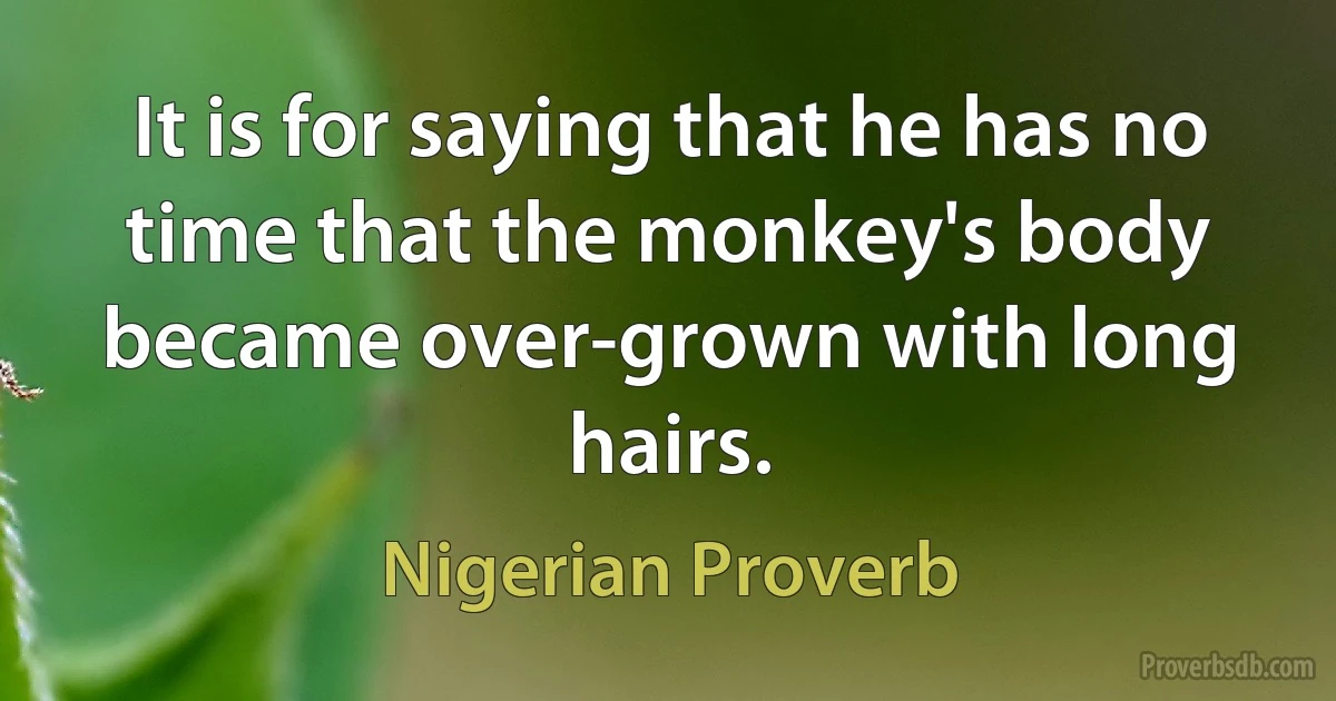 It is for saying that he has no time that the monkey's body became over-grown with long hairs. (Nigerian Proverb)