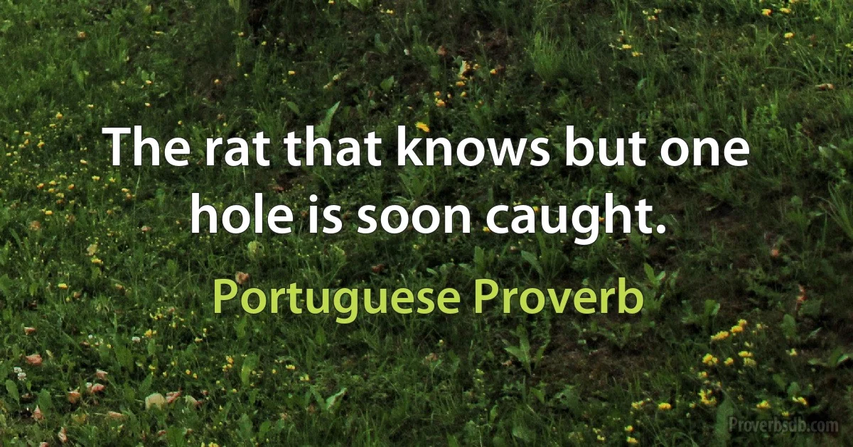 The rat that knows but one hole is soon caught. (Portuguese Proverb)