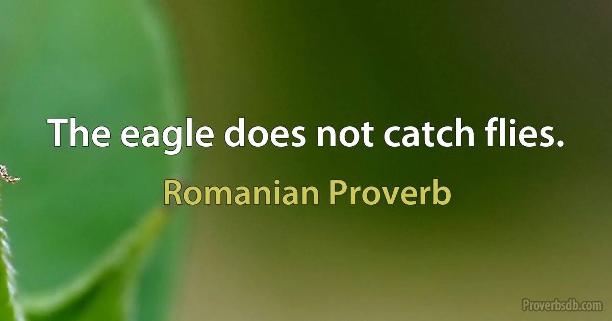 The eagle does not catch flies. (Romanian Proverb)