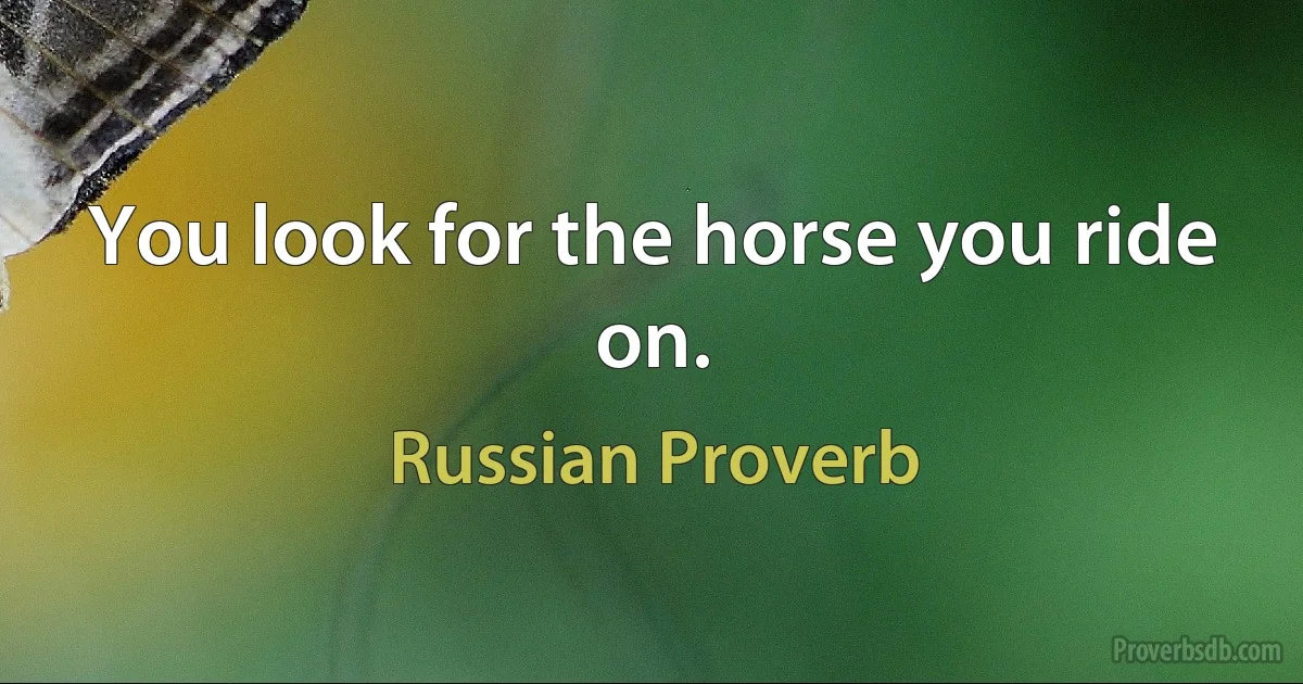 You look for the horse you ride on. (Russian Proverb)