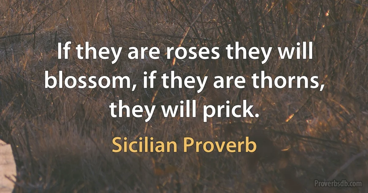 If they are roses they will blossom, if they are thorns, they will prick. (Sicilian Proverb)