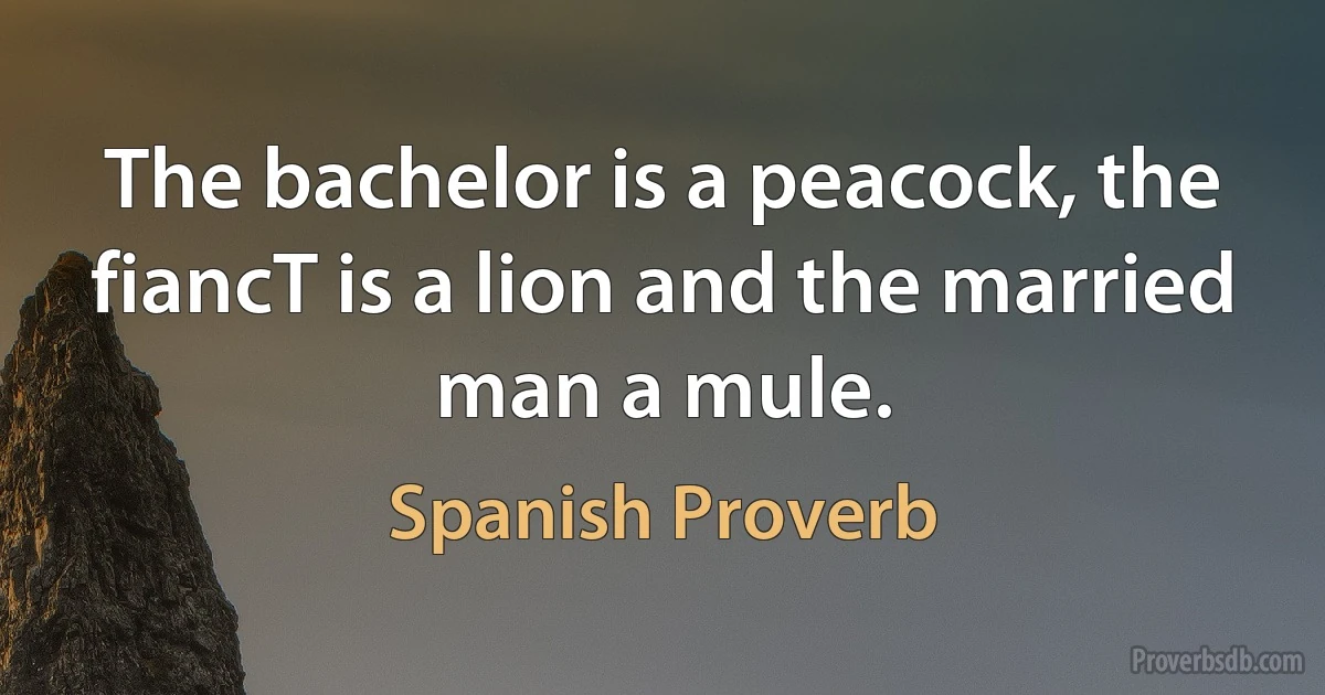 The bachelor is a peacock, the fiancT is a lion and the married man a mule. (Spanish Proverb)